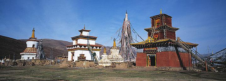 《彩虹六号：围攻》联动《如龙》第二弹 Echo饰“真岛吾朗”